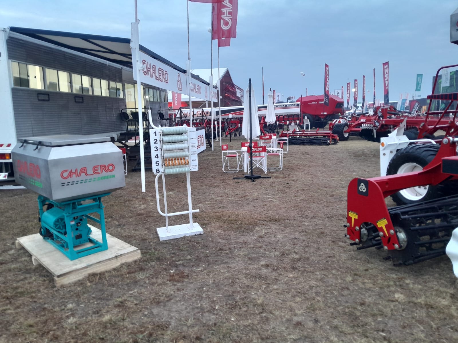 WhatsApp 2026-06-11 a 